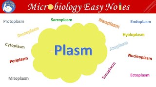 Different types of plasm in the cell like Mitoplasm Hyaloplasm Nucleoplasm amp Deutoplasm etc [upl. by Sesiom]