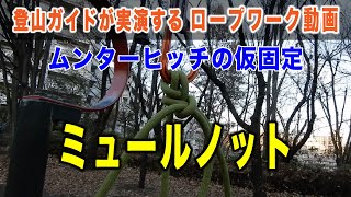 ミュールノット：ムンターヒッチの仮固定 【登山ガイドが実演・ロープワークの基本徹底マスター】 [upl. by Heyes]