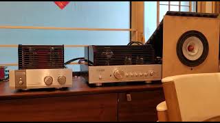 DIY 65 quot full range open baffle speaker spl 94db amp 12W KT88 int tube amp [upl. by Nirda796]