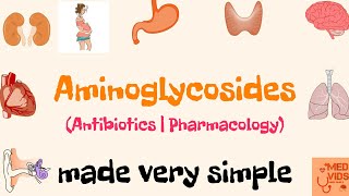 Aminoglycosides  Antibiotics  Pharmacology  Med Vids Made Simple [upl. by Yenalem655]