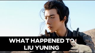 Liu Yuning Bashed in Spite of Popularity in A Journey to Love [upl. by Audy304]