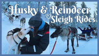 FINLAND TRAVEL VLOG  Husky amp Reindeer Sleigh Rides in Rovaniemi Finland [upl. by Aelgna]