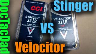 CCI STINGER vs CCI VELOCITOR  Ballistics Discussion [upl. by Nyrrek]