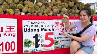 Durian Murah  ss2 durian [upl. by Jannery572]