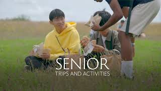 Senior Trips and Activities Summer School [upl. by Naniac]