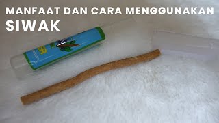 MANFAAT SIWAK DAN CARA MEMAKAI SIWAK SEBAGAI SIKAT GIGI [upl. by Reinaldo]