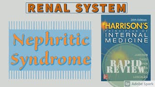 NEPHRITIC SYNDROME  Causes  Pathophysiology  Treatment  Rapid Review  Harrison [upl. by Aivekal518]