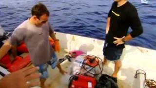 Quand les requins attaquent  Documentaire [upl. by Rehteh]