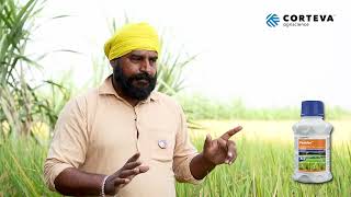 Pexalon  Corteva  Jagjit Singh  Farmer Testimonial  Punjabi  Rice [upl. by Erick]