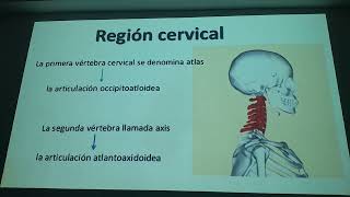 Semiología II Columna vertebral Semiología 11 [upl. by Rramal280]