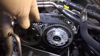 VW Golf mk7 14 TSi wymiana PASKA ROZRZĄDU 14tsi TIMING BELT REPLACEMENT [upl. by Zile]