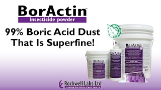 BorActin Insecticide Powder 99 Boric Acid Dust That is Superfine [upl. by Neelahtak]