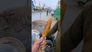 Viral Masala Sweet Corns 🌽😱 Weird Pakistans Street Food  streetfood shorts [upl. by Nelo]