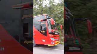 Bus Satu Nusa 477 Menuju Medan [upl. by Aneehsar931]