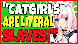 Anime quotJournosquot ENRAGED over NekoPara they dont respect hard working Neko Girls [upl. by Hamfurd]