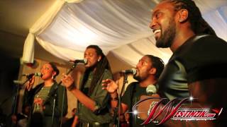 Yoan en Live au Salon Mangrove [upl. by Zurc]