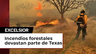 Incendios forestales devastan parte de Texas [upl. by Kolva749]