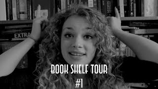 Book Shelf Tour 1 [upl. by Cameron265]