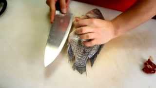 Real Cooking How to Butterfly a Fish [upl. by Bennet893]