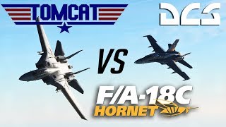 DCS F14 Tomcat Vs F18 Hornet Dogfight  Tacview [upl. by Sherrie]