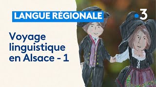 Connaissezvous tous les accents et prononciations de lalsacien  Voyage linguistique 1 [upl. by Oinotnanauj]