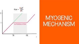 27 Renal Myogenic Mechanism [upl. by Attesor727]