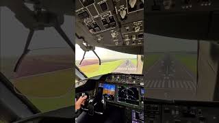 Boeing 787 Dreamliner Landing  Cockpit View aviation [upl. by Fields]