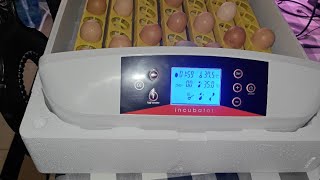 Imseigo 56 Egg Incubator with Humidity Display [upl. by Ryley451]