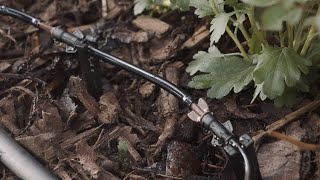 How to Install an InLine Dripper Into an Irrigation System [upl. by Schick485]