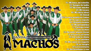 Banda Machos Exitos Viejitos Completos Mix  Las Mejores Canciones de Banda Machos [upl. by Ayisan]