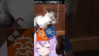 【 ご近所窓口 】連続💥猫パンチ💥【或誤リズvtuber】shorts [upl. by Guerra]