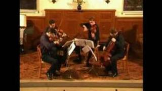 Bartok  String Quartet no 3 Seconda parte Allegro QUATUOR FRATRES [upl. by Hortensia479]