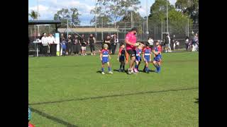 Div 1 U7s1st Quarter St Johns vs Chester Hill 17 08 24 [upl. by Anigue]