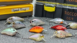 Everything You Need To Know About Squarebills and Shallow Crankbaits Full Seminar [upl. by Hgielrebmik]