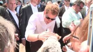 Prince Harry Greeted With Cheers and Gratitude at the Jersey Shore [upl. by Paloma]