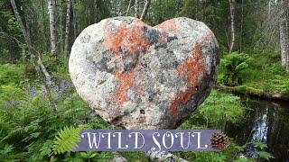 Nature Poem  Wild Soul  HD  English [upl. by Atinev]