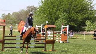 Berei Lovastanya  Equest Sport díjugrató verseny 20120430 [upl. by Fae451]