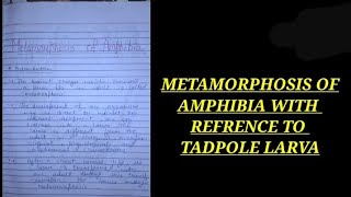 METAMORPHOSIS OF AMPHIBIA WITH REFRENCE TO AN TADPOLE LARVA zoologynotes zoology biology bsc [upl. by Marika209]