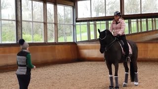 Dressage Horse Training  Canter [upl. by Mosby]