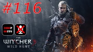 The Witcher 3 Wild Hunt 116  Услуга для Радовида [upl. by Aken]