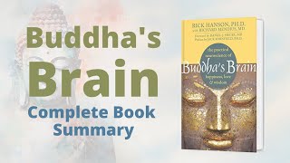 Buddhas Brain  Free Audio Book Summary  Mr Un2known [upl. by Annhej549]