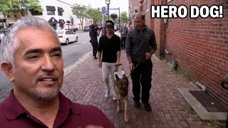 How This Veterans Guide Dog Became A Hero  Dog Nation Episode 8  Part 3 [upl. by Auohs363]