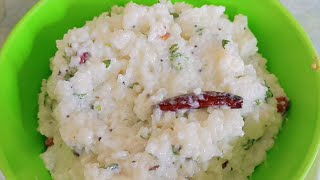 फोडणीचा दहीभात  उन्हाळा स्पेशल  Dahi Bhat  Curd Rice Recipe  Preetis Kitchen [upl. by Alliuqahs]