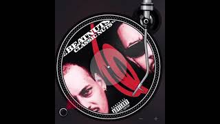 The Beatnuts ft The Visioneers  Watch out now INI Classic hip hop Mashup [upl. by Artekal]