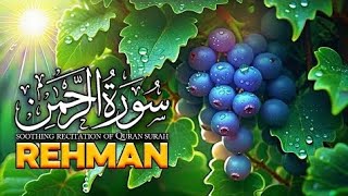 Worlds most Amazing and best recitation of Surah ArRahman سورة الرحمن Hidayat e quran 235 [upl. by Garlanda]