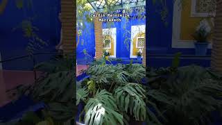 Jardin Majorelle Marrakech Octobre 2024 [upl. by Carolyne]