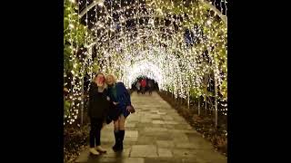 Wisley Gardens RHS Glow Christmas Lights Tunnel Hyperlapse [upl. by Arammat]