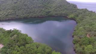 Chacachacare salt pond [upl. by Baecher712]