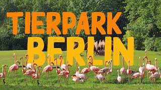 Tierpark Berlin  Zoo Eindruck [upl. by Leeth]