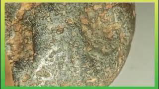 Collection 118 rare chondrite [upl. by Haskins]